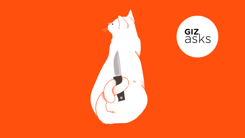 Illustration for article titled Hateful Kitties, Space Lasers, Spider-Man, and Soundbars: Best Gizmodo Posts of the Week